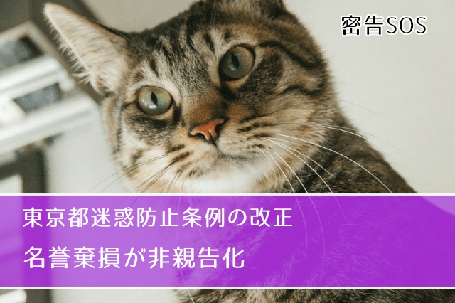 東京都の迷惑防止条例改正